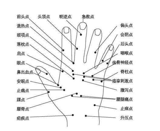 经络图